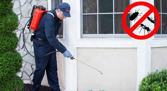 Yağcılar Haşere İlaçlama böcek ilaçlama ve haşere kontrolü — ilaclama-tr.com
